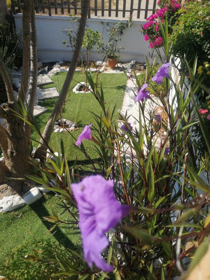 La Casa De Portorafti Βίλα Πόρτο Ράφτη Εξωτερικό φωτογραφία
